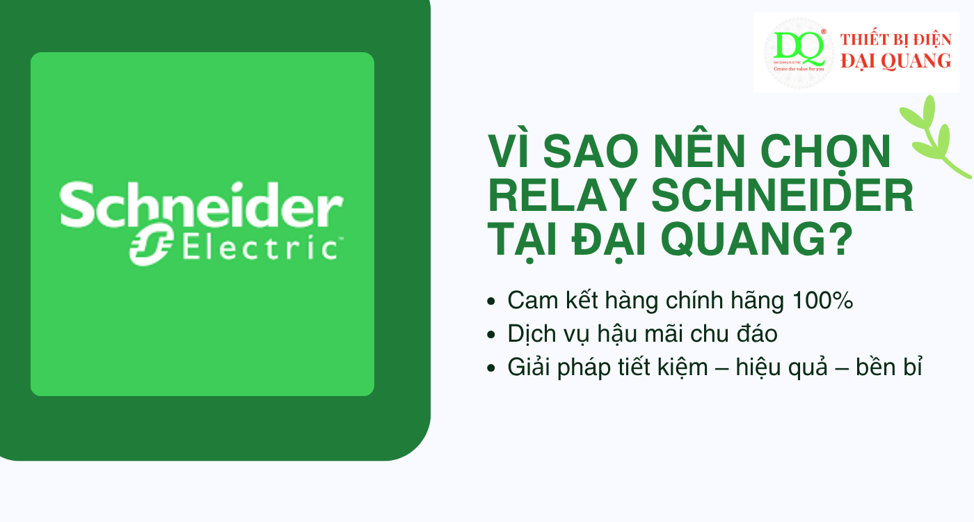 Vì sao nên chọn RELAY trung gian SCHNEIDER RXM4LB2BD tại đơn vị chúng tôi? tại Thiết bị điện Đại Quang